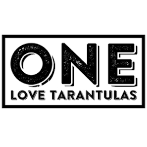 One Love Tarantulas